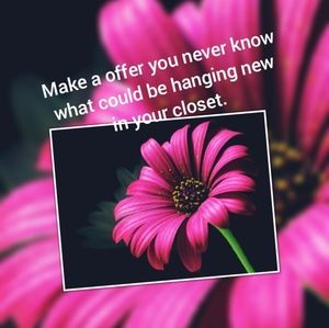 Looking for offers, it could be your new addition.